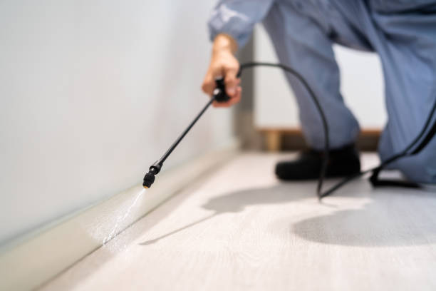 Licensed Fumigation Services service in Wheatland County County, MT - Nex Pest Control