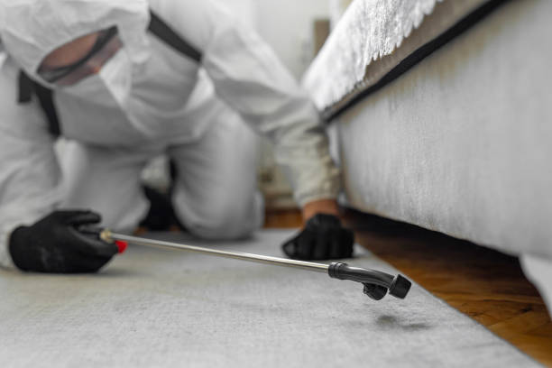 Professional Fumigation Services technician working in Wheatland County County, MT